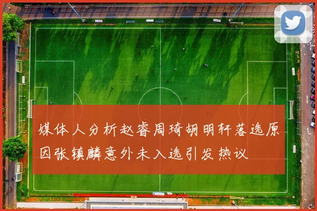 媒体人分析赵睿周琦胡明轩落选原因张镇麟意外未入选引发热议