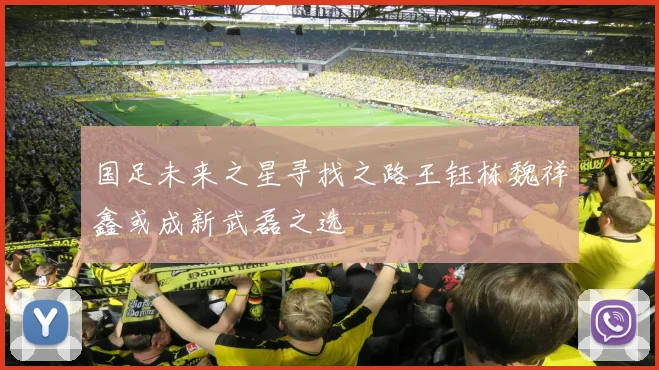 国足未来之星寻找之路王钰栋魏祥鑫或成新武磊之选