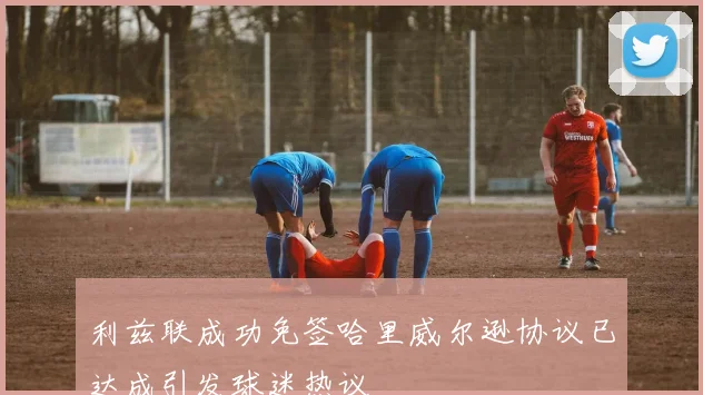 利兹联成功免签哈里威尔逊协议已达成引发球迷热议